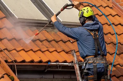 Démoussage et hydrofuge de toiture à Herbisse